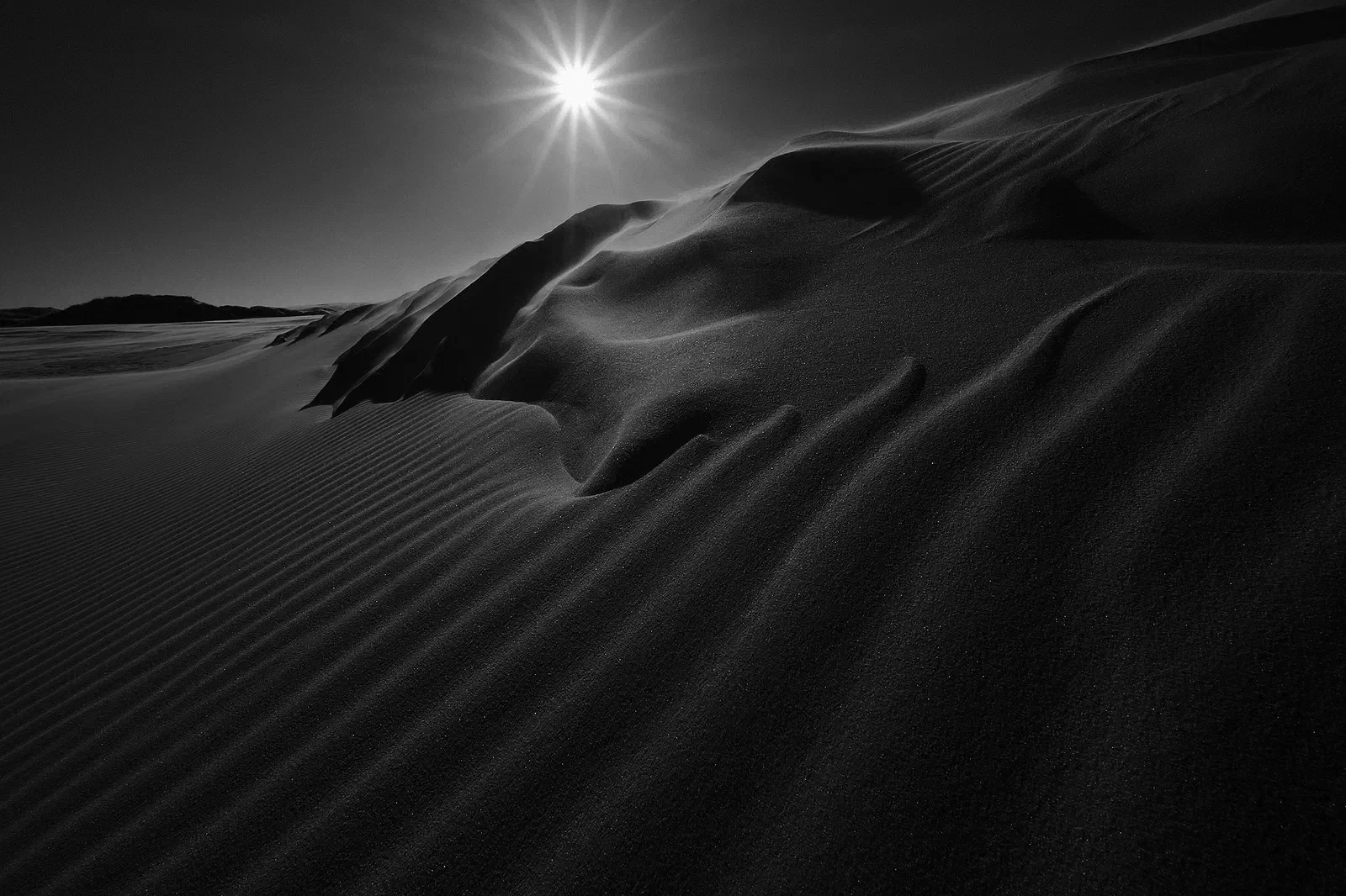 Desert Dreams