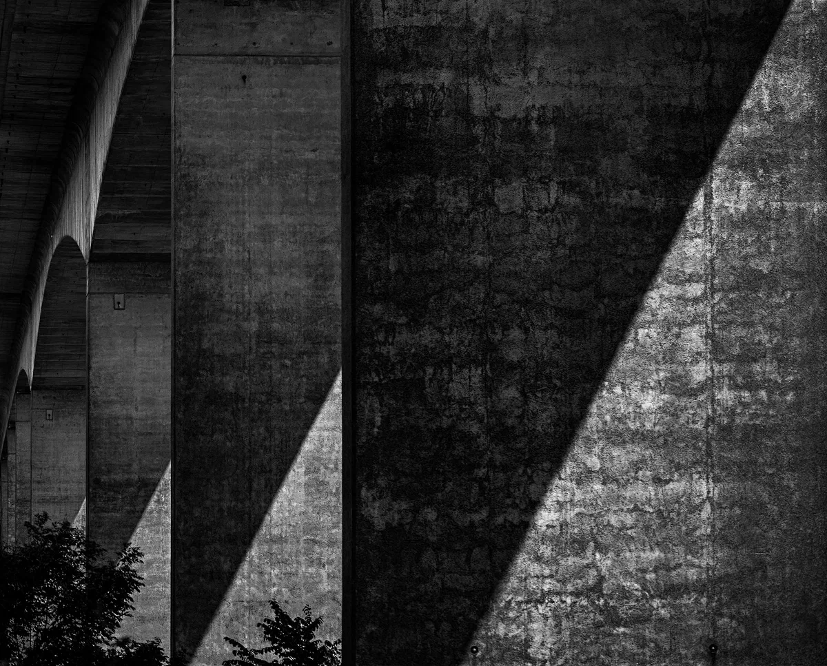 Zig Zag, Foundations 2017