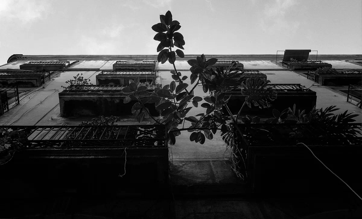 Seeking Light, Foundations 2018