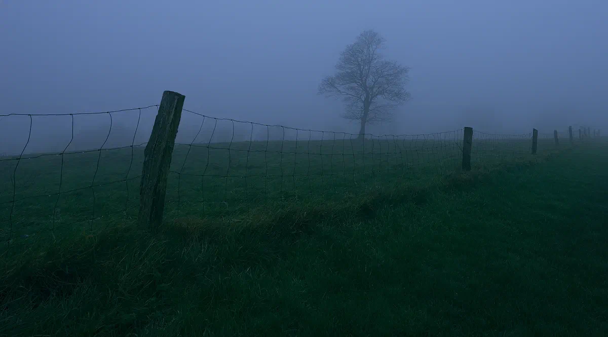 Green Field, Nature 2016