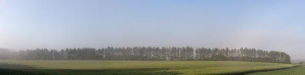 Tree Line