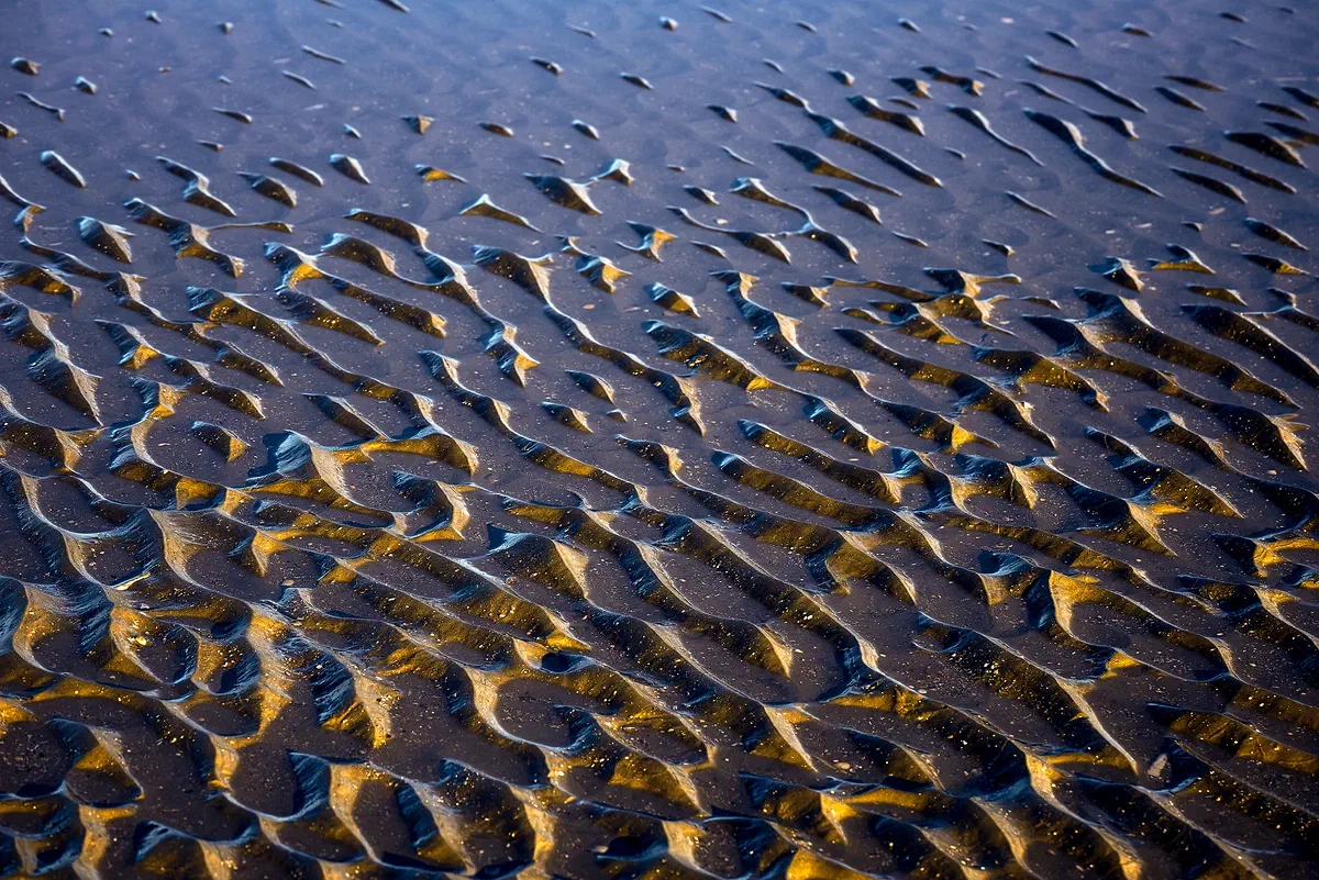Dune Submersion, Nature 2018