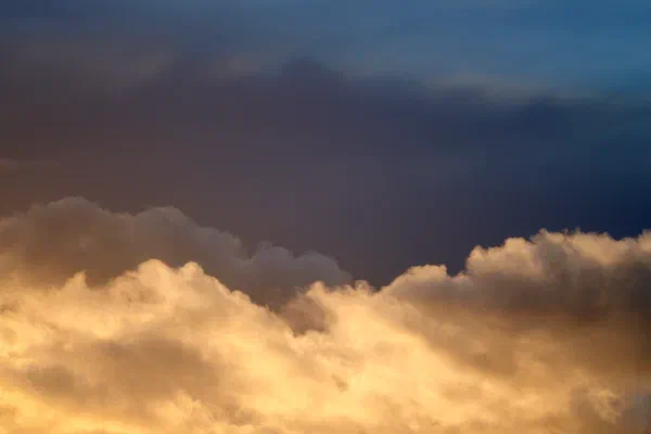 Rise