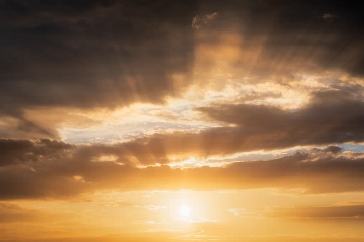 Shine Through, Nature 2021