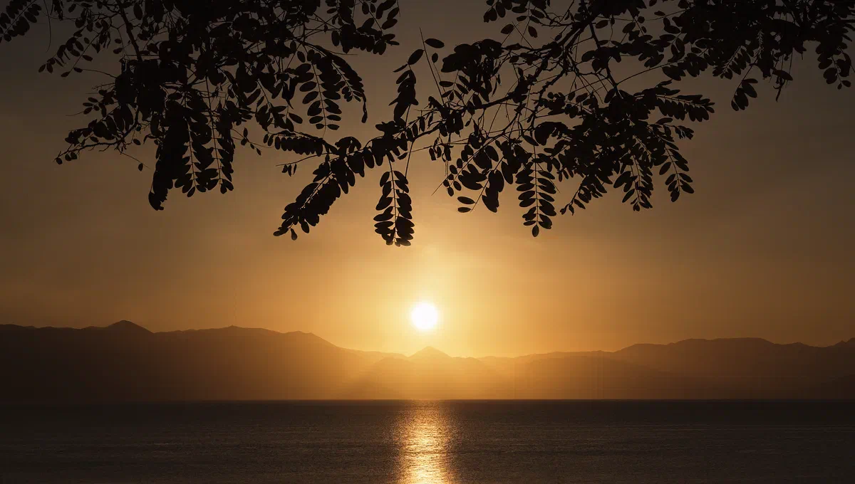 Kerkyra Sun Rises, Nature 2021