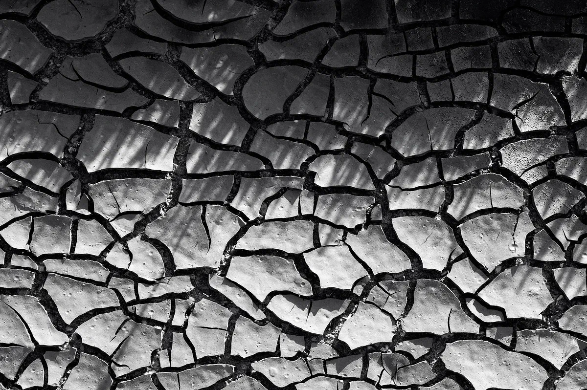 Cracked Up, Nature 2021