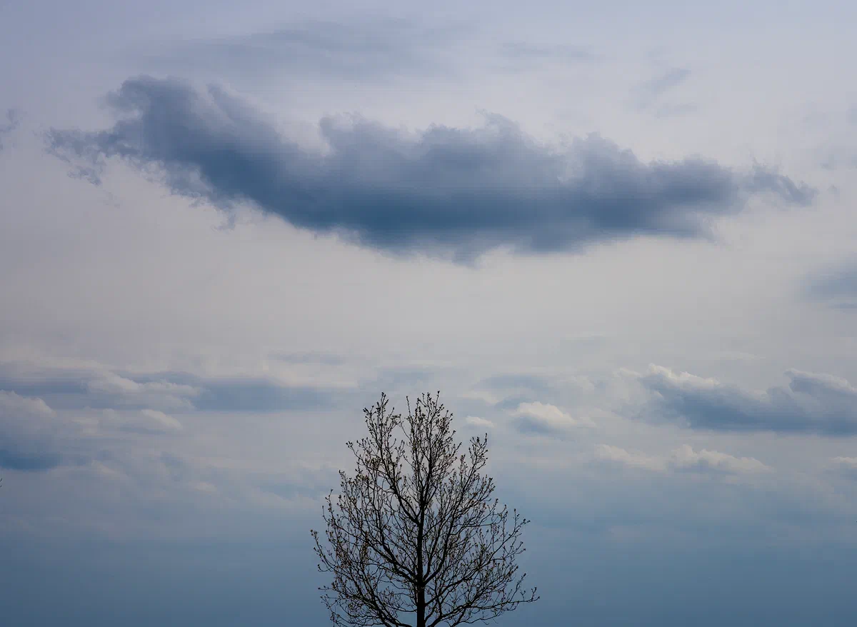Breath II, Nature 2021