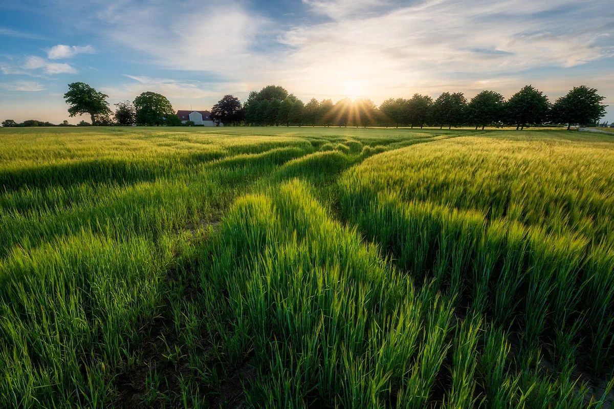 At the Farm, Nature 2021