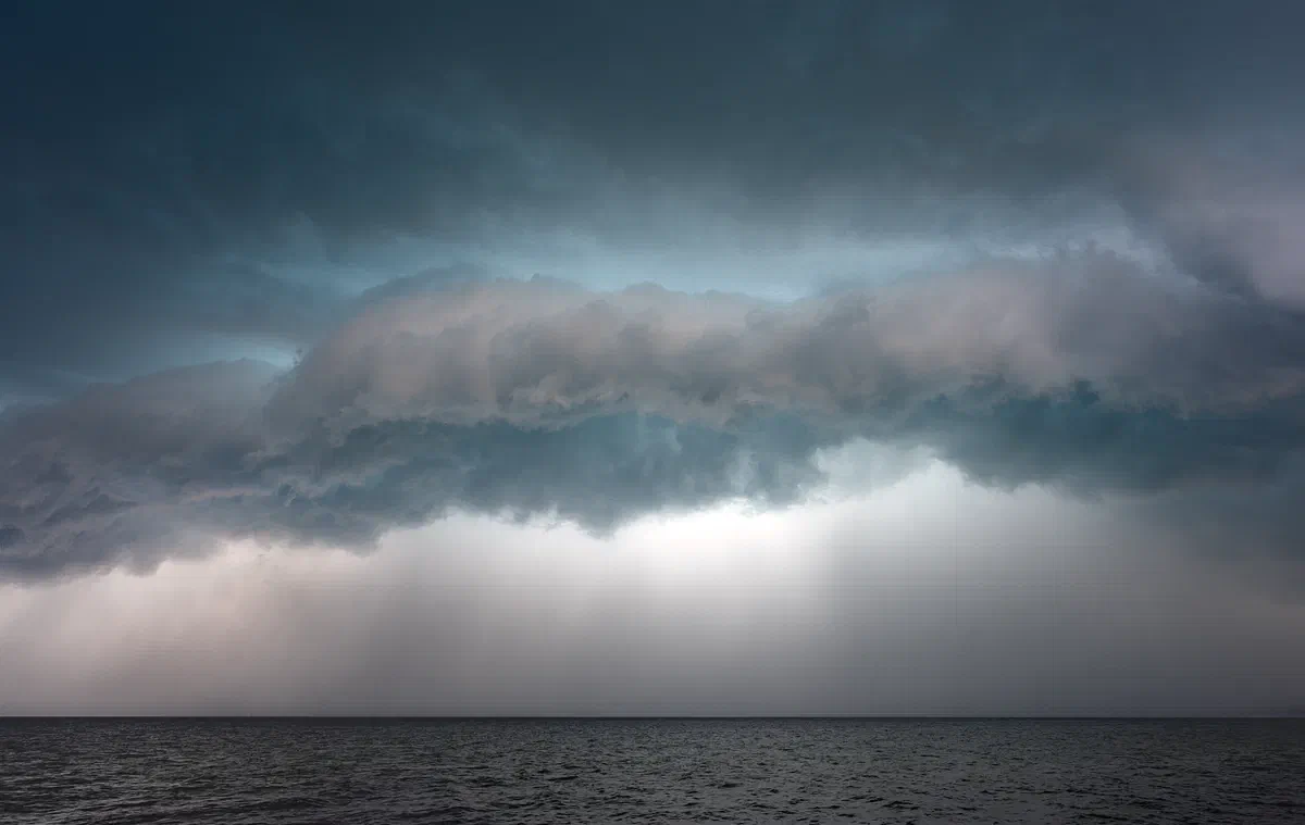 Storm, Nature 2021