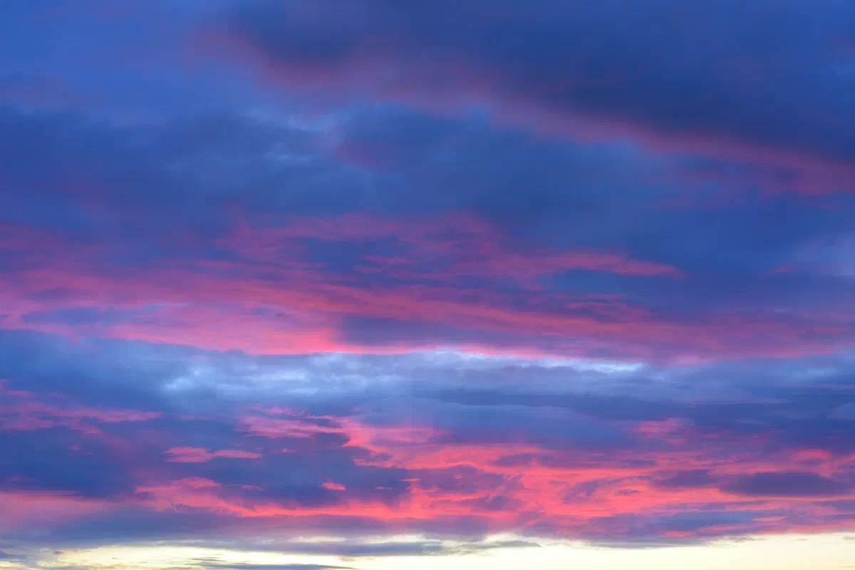 Sundown II, Nature 2022