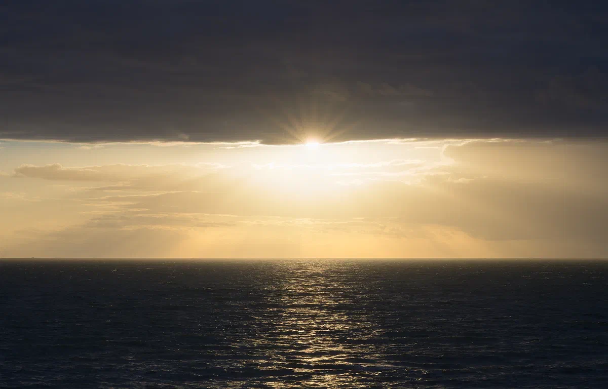 Sundown, Nature 2022