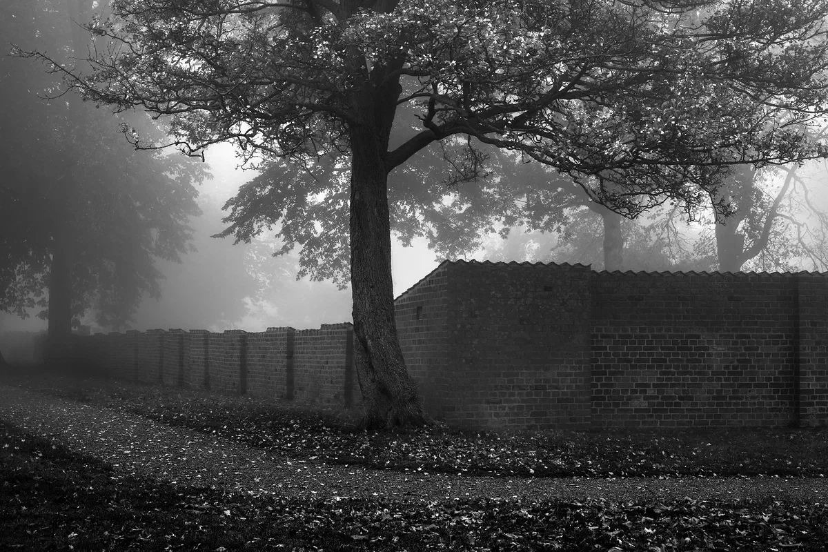 Around the Bend BW, Nature 2022