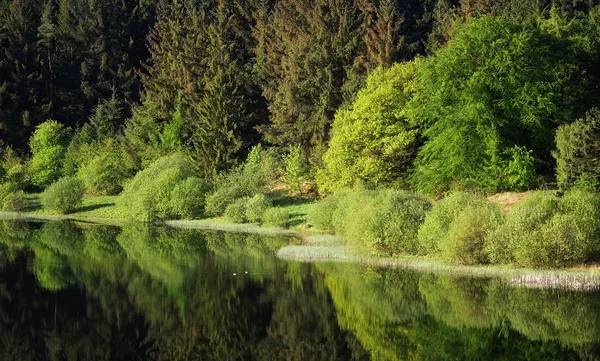 Mirror Lake
