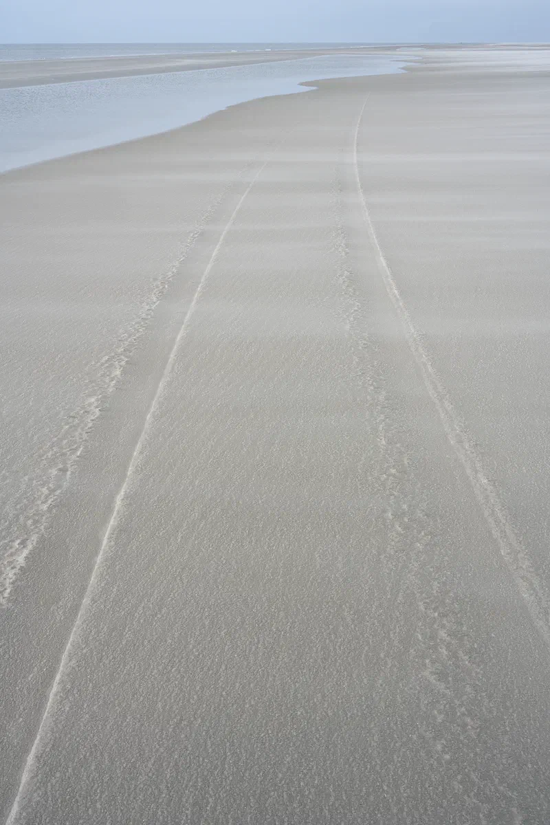 Sands II, Nature 2024