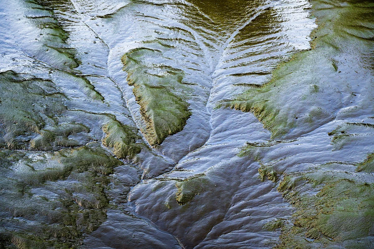 Mudflow, Nature 2024