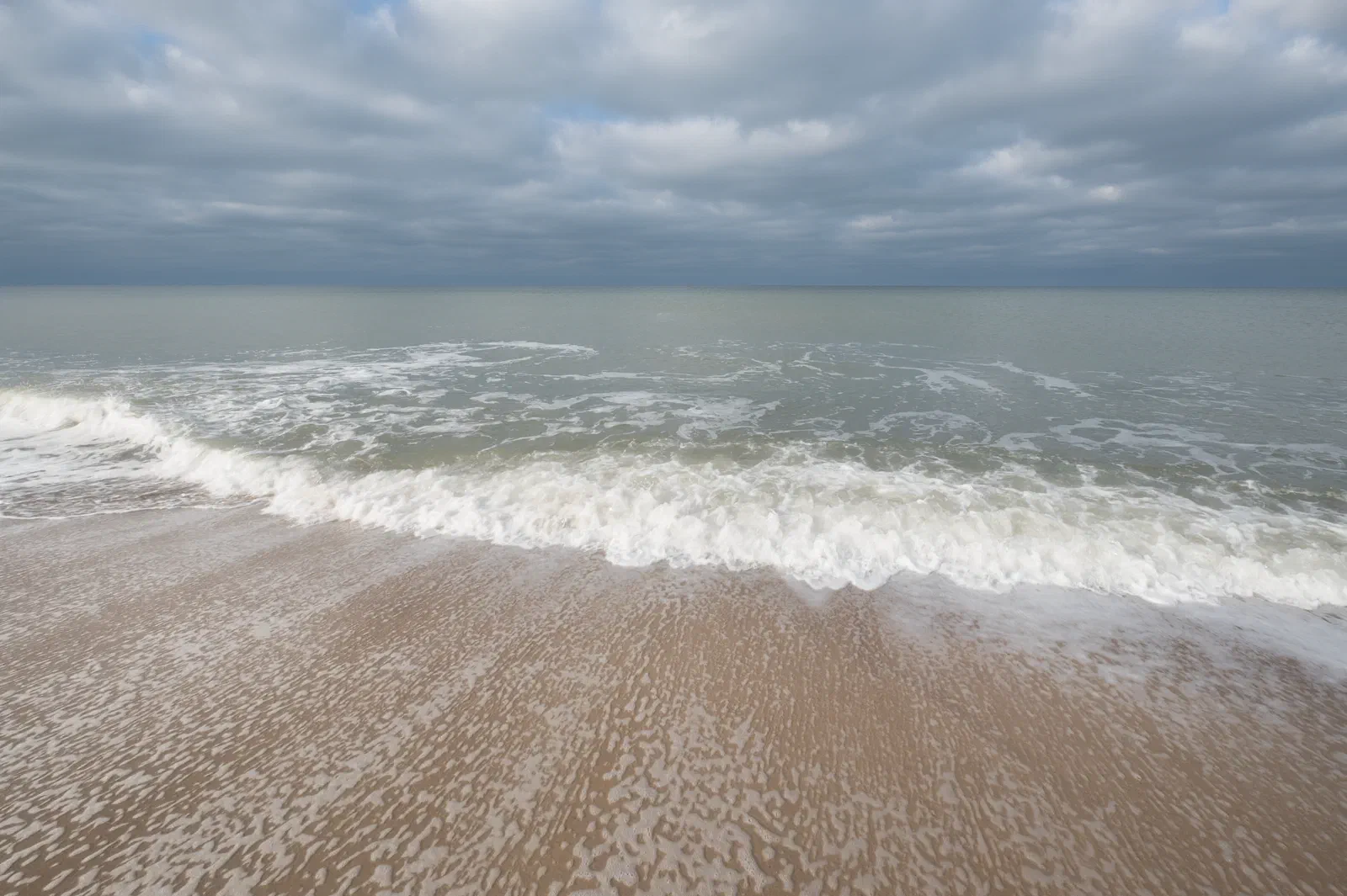 Ocean