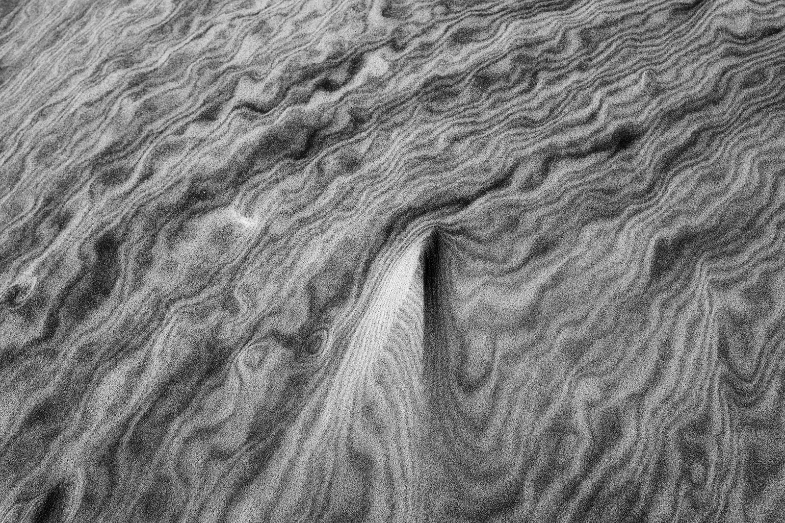 Sand Patterns I