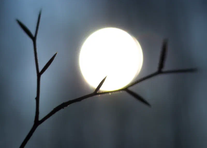 The Restful Sun