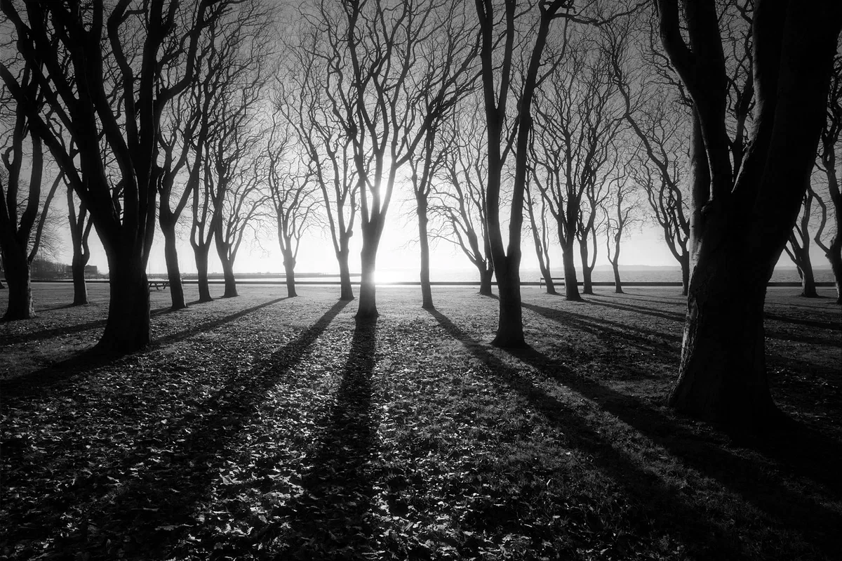 Casting Shadows, Shadows